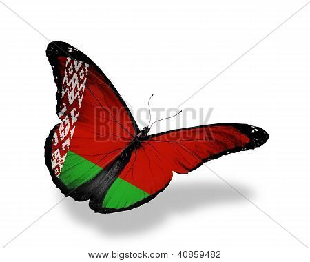 Bandeira da Bielorrússia borboleta voando, isolado no fundo branco