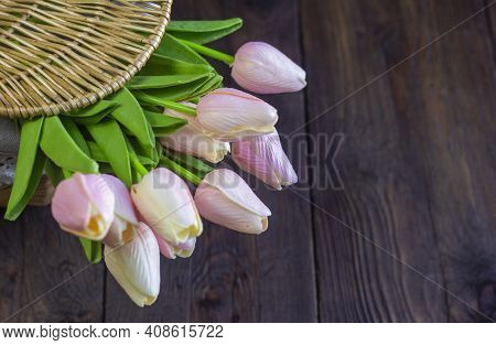 Beautiful Artificial Pink Tulips In A Basket On A Dark Wooden Background.a Basket With Tulips For De
