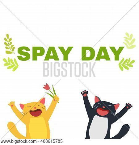 Spay Day Illustration. Funny Cats . Cartoon Vector Drawing.