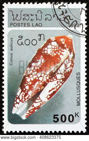 Laos - Circa 1993: A Stamp Printed In Laos Shows Princely Cone, Conus Aulicus, Is A Species Of A Pre