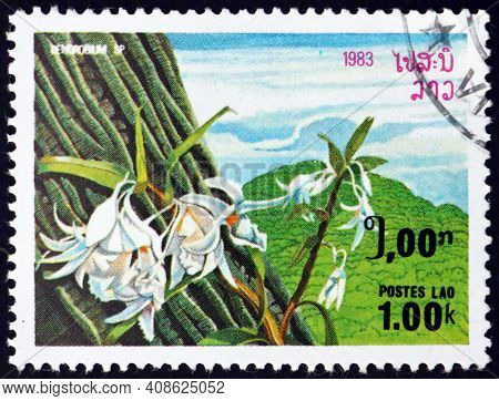 Laos - Circa 1983: A Stamp Printed In Laos Shows Rock Orchid, Dendrobium Speciosum, Orchid Native To