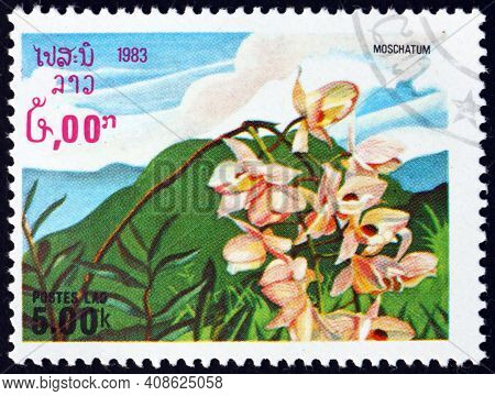 Laos - Circa 1983: A Stamp Printed In Laos Shows The Musky-smelling Dendrobium, Dendrobium Moschatum