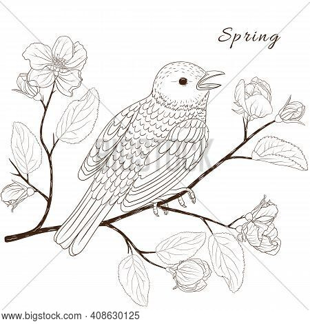Vector Graphic Illustration With Spring Apple Flowrs And A Small Bird