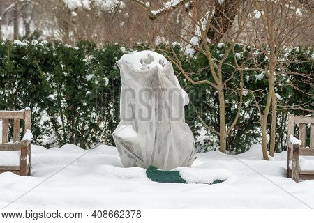 Plants And Trees In A Park Or Garden Covered By The Snow And Blanket, Swath Of Burlap, Frost Protect
