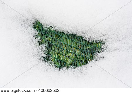 Plants And Trees In A Park Or Garden Covered By The Snow And Blanket, Swath Of Burlap, Frost Protect