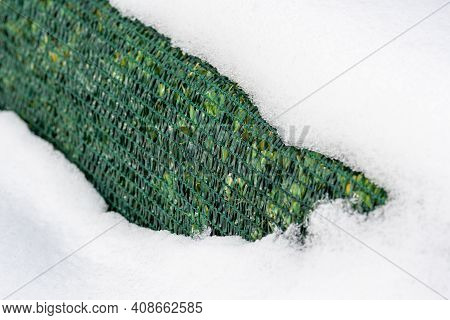 Plants And Trees In A Park Or Garden Covered By The Snow And Blanket, Swath Of Burlap, Frost Protect