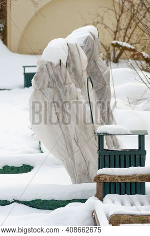 Plants And Trees In A Park Or Garden Covered By The Snow And Blanket, Swath Of Burlap, Frost Protect