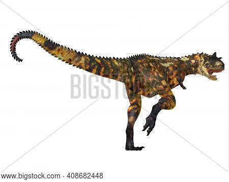 Carnotaurus Dinosaur Tail 3d Illustration - Carnotaurus Was A Carnivorous Theropod Dinosaur That Liv