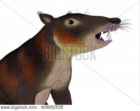Cronopio Mammal Head 3d Illustration - Cronopio Is An Extinct Carnivorous Mammal That Lived In South
