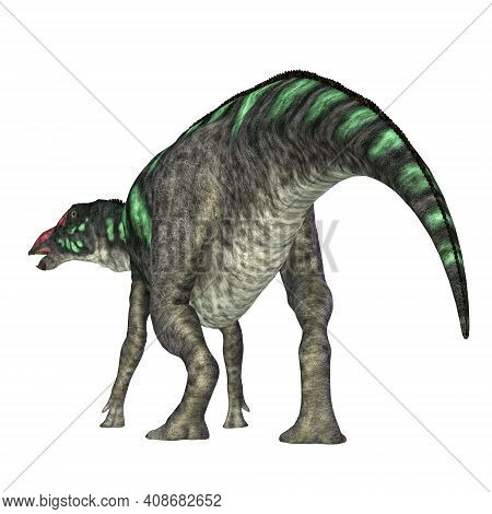 Maiasaura Dinosaur Tail 3d Illustration - Maiasaura Was A Herbivorous Duck-billed Hadrosaur Dinosaur