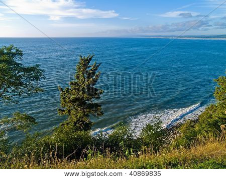 A View Of The Ocean From A Cliff With Trees And Plants Growing On The Cliffside.