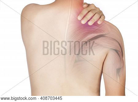 Shoulder Muscle Pain White Background Shoulder Injury