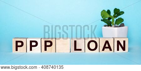 The Word Ppp Loan Is Written On Wooden Cubes Near A Flower In A Pot On A Light Blue Background