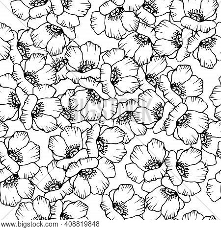2523 Poppies