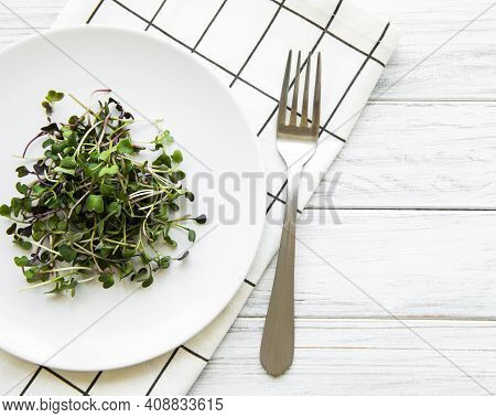 Micro Greens In A Plate On A White Background, Micro Green, Healthy Food Concept