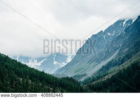 Beautiful Big Glacier Behind Coniferous Forest On Hill Side Under Cloudy Sky. Low Clouds On Giant Sn