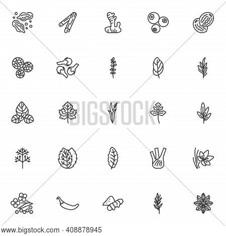And Herbs Line Icons Set. Linear Style Symbols Collection, Outline Signs Pack. Vector Graphics. Set 