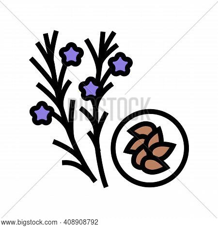 Flax Groat Color Icon Vector. Flax Groat Sign. Isolated Symbol Illustration