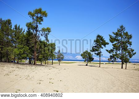 Beautiful Landscape Of Olkhon Island On A Summer Day. Larch Trees Grow On The Sandy Beach Of The Sar