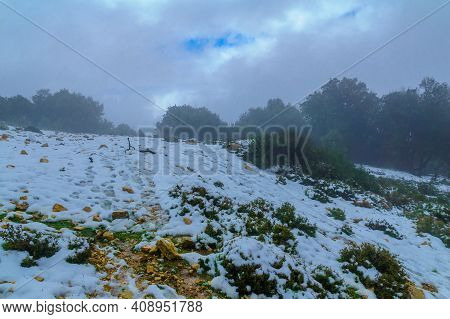 View Of Footpath In A Forest, On A Rare Snowy Day, On Mount Adir, Northern Israel