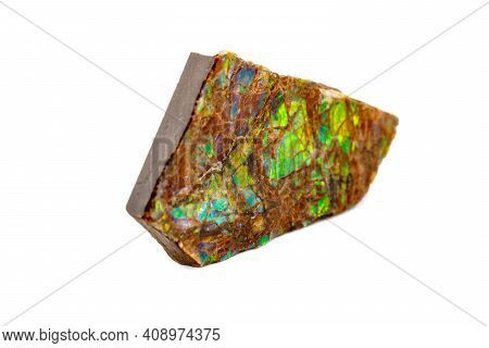Macro Of The Mineral Stone Ammolite On White Background