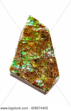 Macro Of The Mineral Stone Ammolite On White Background