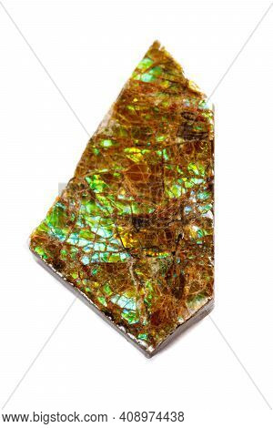 Macro Of The Mineral Stone Ammolite On White Background Close Up