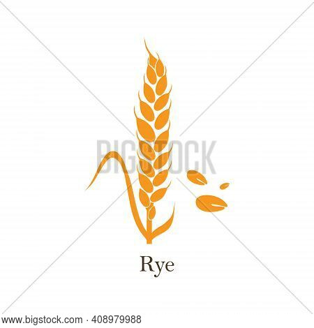 Wheat Ear On A White Background. Vector Clip Art On A White Background