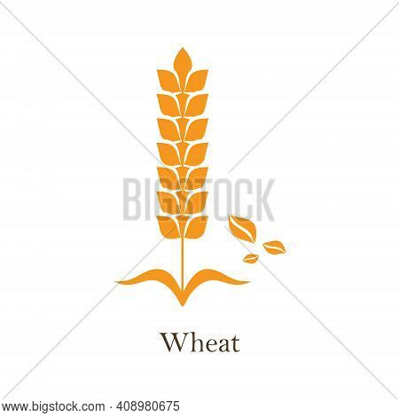 Icon Design, Vector On White Background. Agriculture Wheat Logo