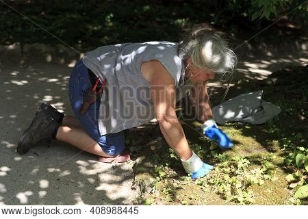 Saint Austell (england), Uk - August 19, 2015: Farmer In The Lost Gardens Of Heligan, Cornwall, Engl