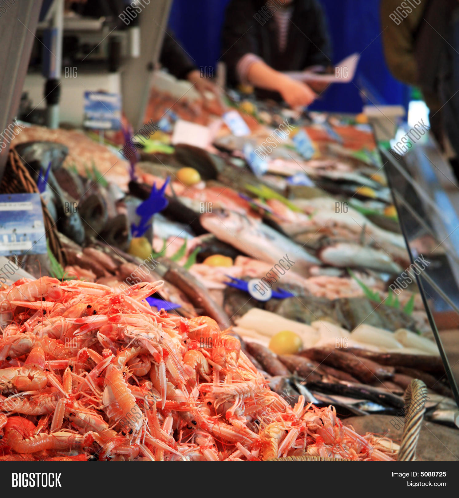 Fish Counter Image & Photo (Free Trial) Bigstock