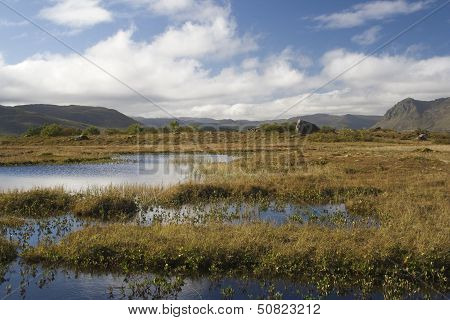 Marsh Land On Gimsoya, Lofoten Islands, Norway, Scandinavia