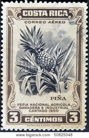 A Stamp Printed Dedicated To Agricultural Fair, Livestock And industrial Carthage shows a pineapple