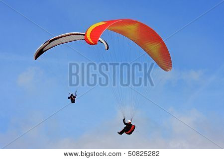 Paragliders
