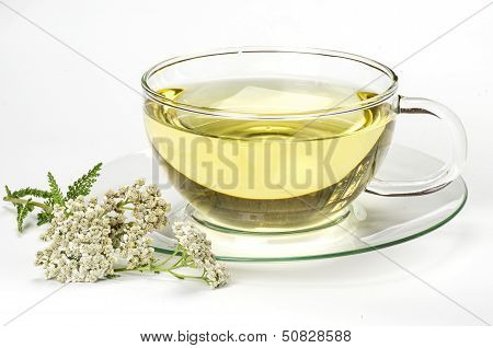 Herbal tea and fresh yarrow