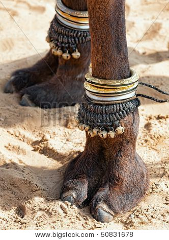 Decorated Camel Foot