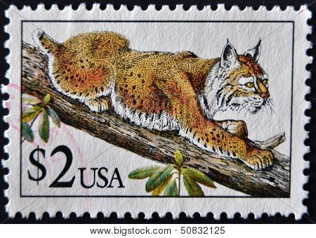 United States Of America - Circa 1990: A Stamp Printed In Usa Shows Bobcat In Tree, Circa 1990