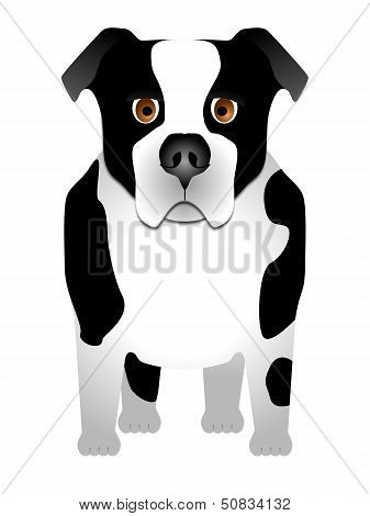 Dog Illustration