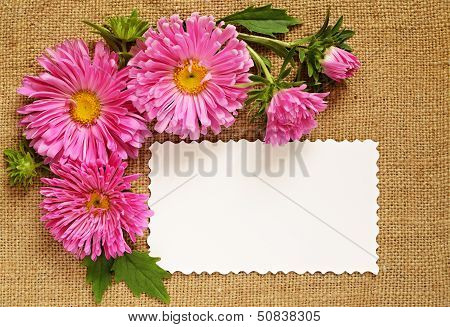Asters And A Card On Canvas Background