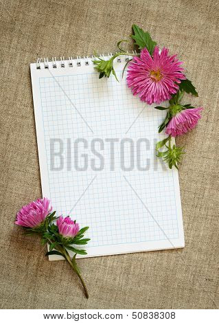 Notepad And Asters
