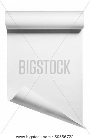 Roll of paper, isolated
