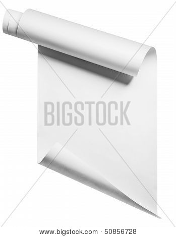 Roll of paper, isolated