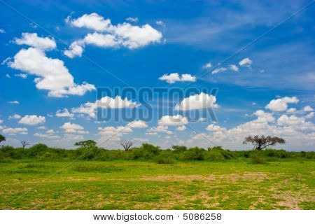 Paysage africain