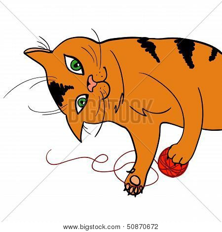 playing cat