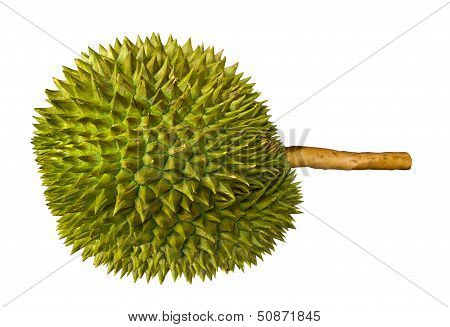Durian