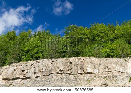 Forest And Rocks
