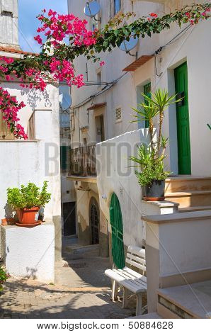 Alleyway. Rodi Garganico. Puglia. Italy.