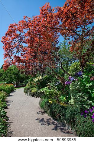 Walkway at Butchart Gardens, Central Saanish, British Columbia, Canada
