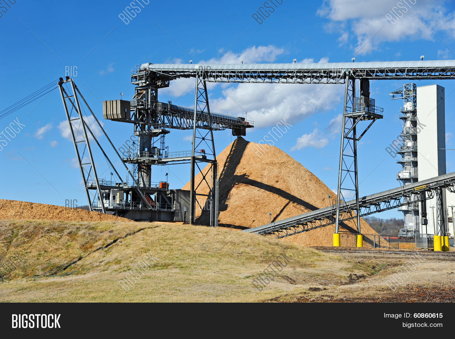 Pulpwood Processing Image & Photo (Free Trial) Bigstock