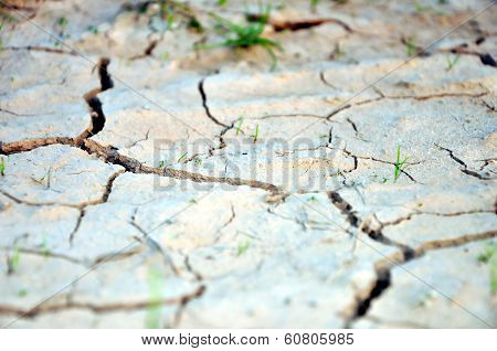 Dry Ground
